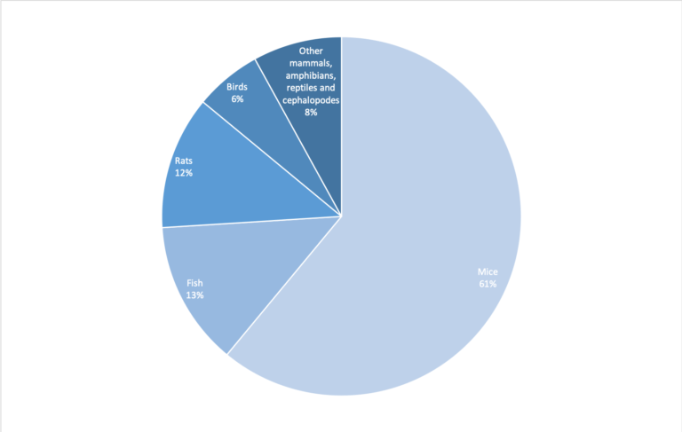 Animal experimentation in Europe. Percentages of the different species.