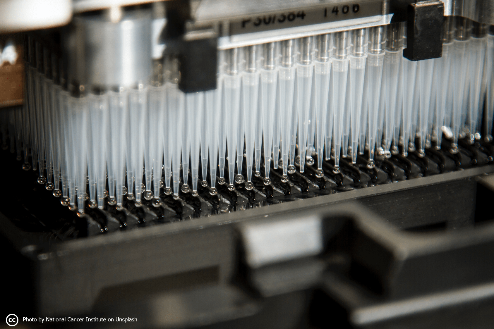 Read more about the article High-throughput screening and automation technologies for zebrafish assays