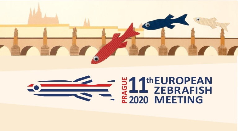 European Zebrafish Meeting 2020