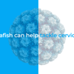 How zebrafish can help tackle cervical cancer