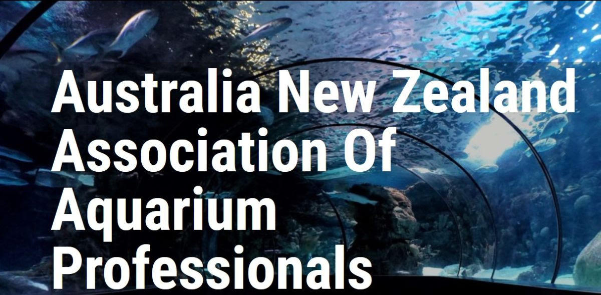 You are currently viewing Bionomous sponsored the ANZAAP Aquatic Symposium 2022