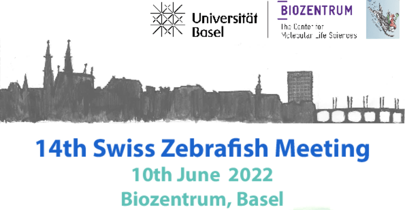 Read more about the article Swiss Zebrafish Meeting 2022