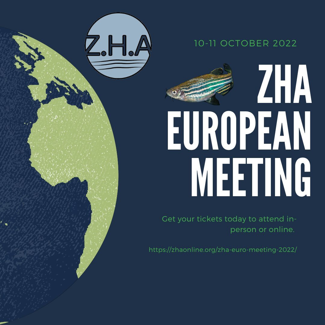 Read more about the article ZHA European Meeting