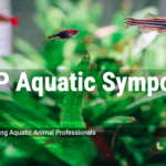 ANZAAP Aquatic Symposium 2023