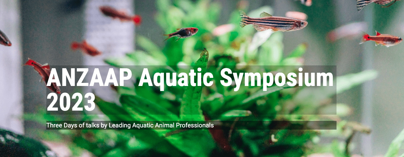 Read more about the article ANZAAP Aquatic Symposium 2023