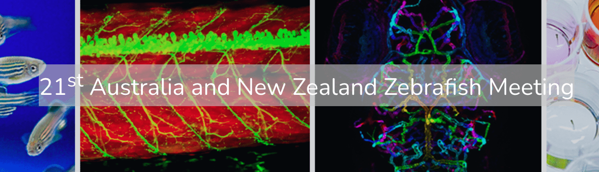 Read more about the article 21st Australia and New Zealand Zebrafish Meeting