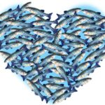 Do zebrafish fall in love?