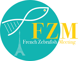 Read more about the article French Zebrafish Meeting