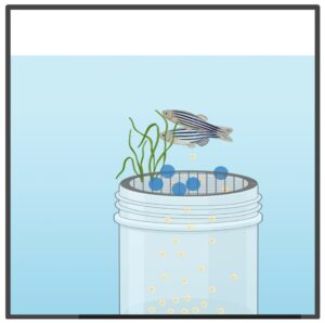 Mating tank with a container that has a meshed top