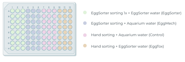 Figure 1: Conditions of the experiment. For the viability experiment, only the conditions “EggSorter” and “Control” were used. For the toxicity experiment, all four conditions (“EggSorter”, “EggMech”, “Control” and “EggTox”) were used. The “EggSorter” condition is defined by the embryos being handled by the EggSorter and the water coming out of the EggSorter is kept in the wells. The “EggMech” condition is with system water and embryos handled by the EggSorter. The “Control” condition is defined by embryos handled by hand and the water in the wells is system water. Finally, the “EggTox” condition is given by embryos being handled manually and water from the EggSorter is placed in the wells.
