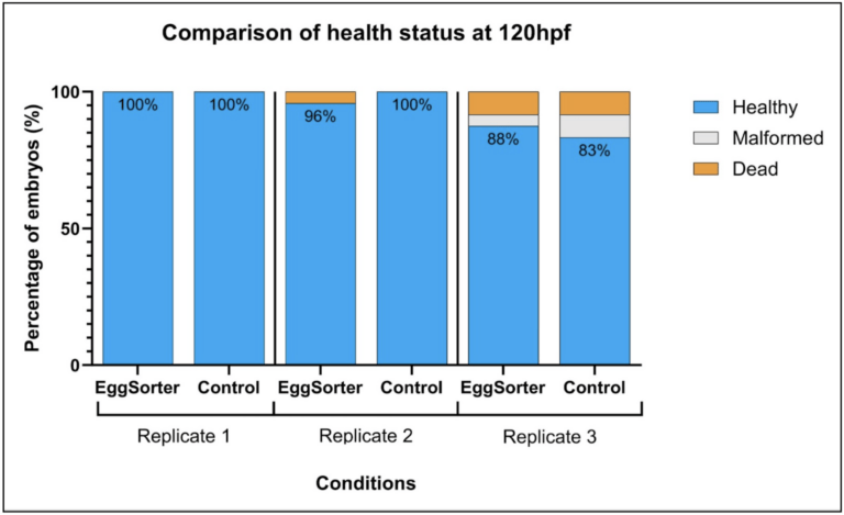 Figure 2: Comparison of health status of zebrafish embryos at 120hpf. Each replicate has an EggSorter group (embryos handled by the device) and a control group (embryos handled manually with a transfer pipette). Significant changes were calculated between percentages of healthy embryos within replicates using Fisher’s exact test, * (p≤0.05), ** (p≤0.01), *** (p≤000.1), with a significance level of α=0.05. No significant changes are to be noted.