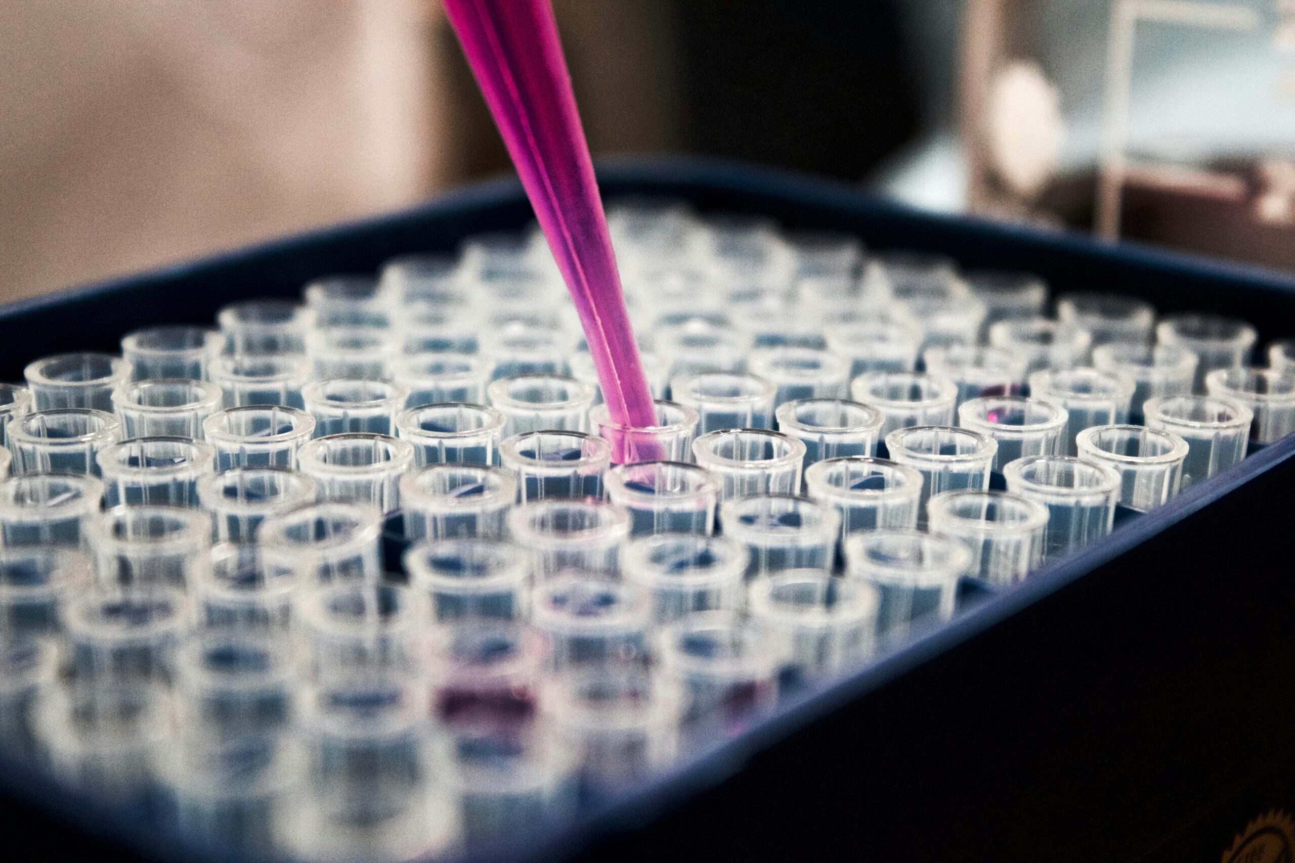 You are currently viewing From promise to practice: Why alternatives to animal testing aren’t yet scalable
