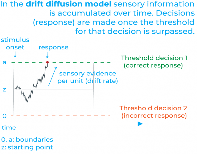 drift diffussion model