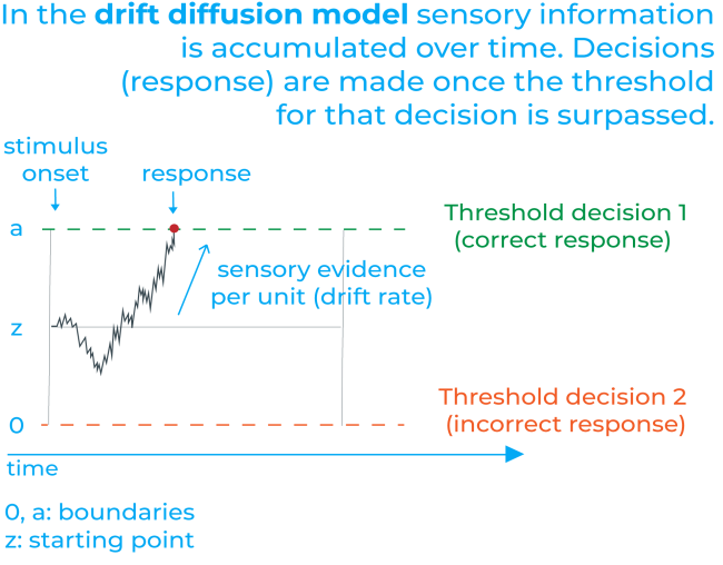 drift diffussion model