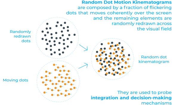 random dot kinematogram