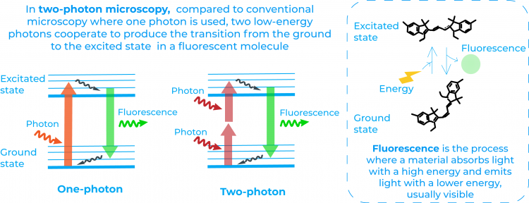 two photon