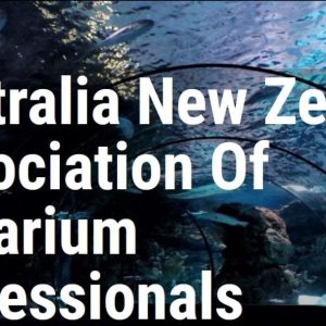 Australian New Zealand Association Of Aquarium Professionals