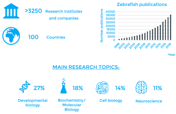 There are more than 3250 institutions working with zebrafish around the world (in more than 100 countires). The numer of publications using zebrafish has increased over the years being the main topics developmental biology (27%), biochemistry (18%), cell biology (14%) and neuroscience (11%)